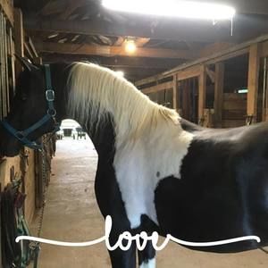 Meet your Posher, Mary